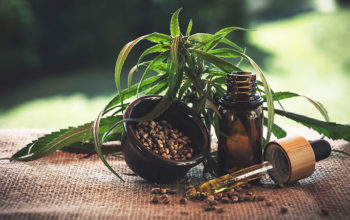 Cannabis plant, beside a small glass bottle and a dropper with THC oil