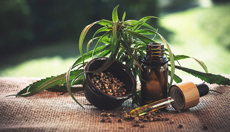 Cannabis plant, beside a small glass bottle and a dropper with THC oil
